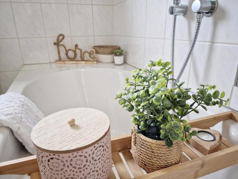 Fewo Naturgetreu Medebach Buitenkant foto