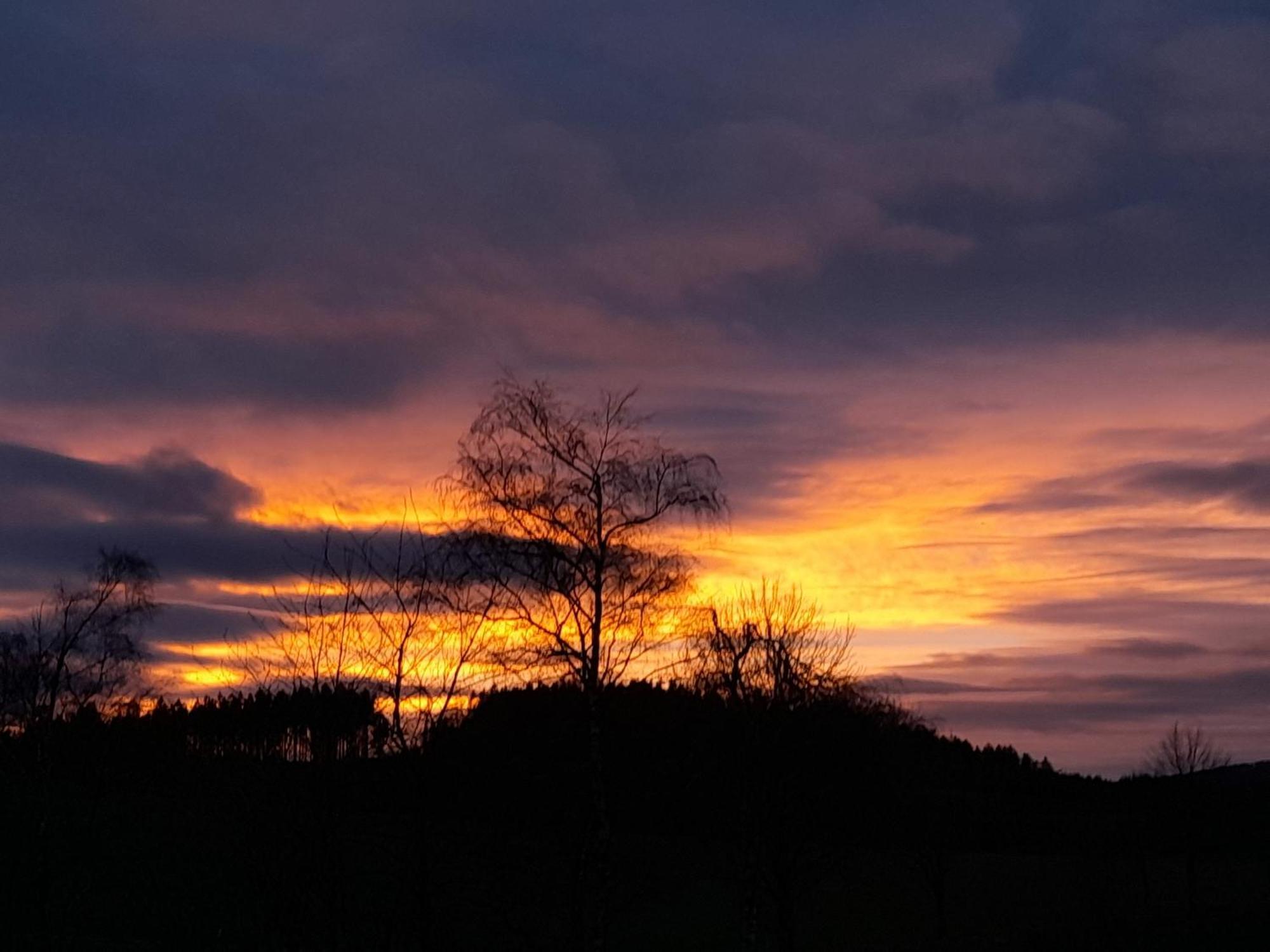 Fewo Naturgetreu Medebach Buitenkant foto